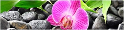 mini_AG 28 Орхидея №2.jpg